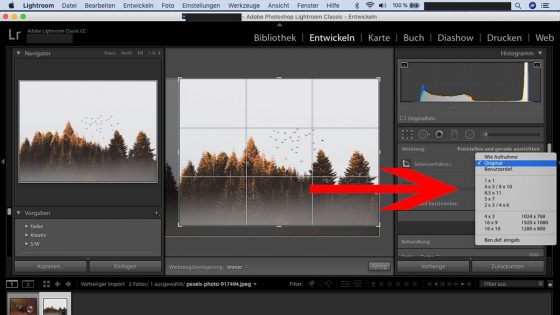 Lightroom Workflow Optimale Bildbearbeitung Updated