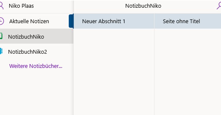 OneNote-Fenster linke Spalte neuer Abschnitt