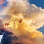 Lightroom oder Photoshop: Der Vergleich