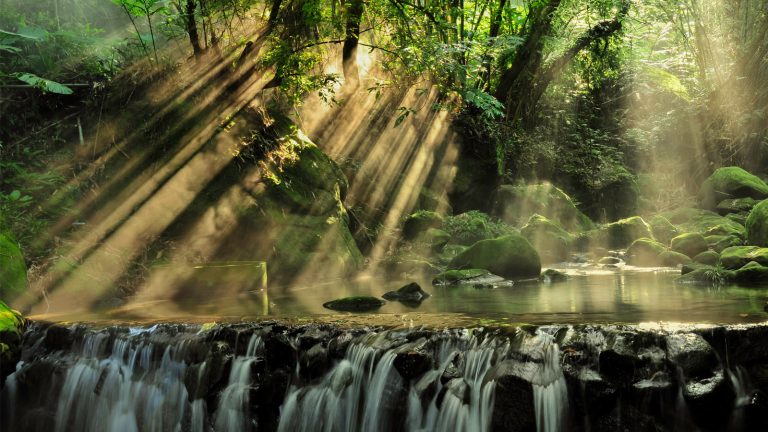 Wald-Fotografie: Bearbeitung am PC Kontrastreiches Bild von Sonnenstrahlen im Wald mit kleinem Wasserfall
