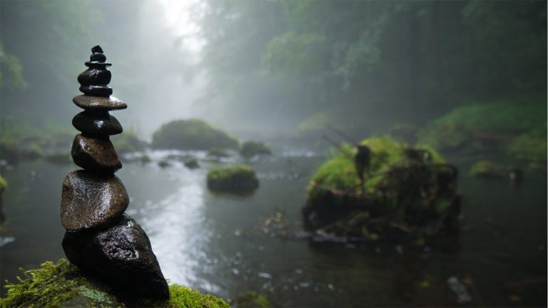 Wald-Fotografie: ISO-Wert Gestapelte Steine an einem Flussufer vor nebligem Wald