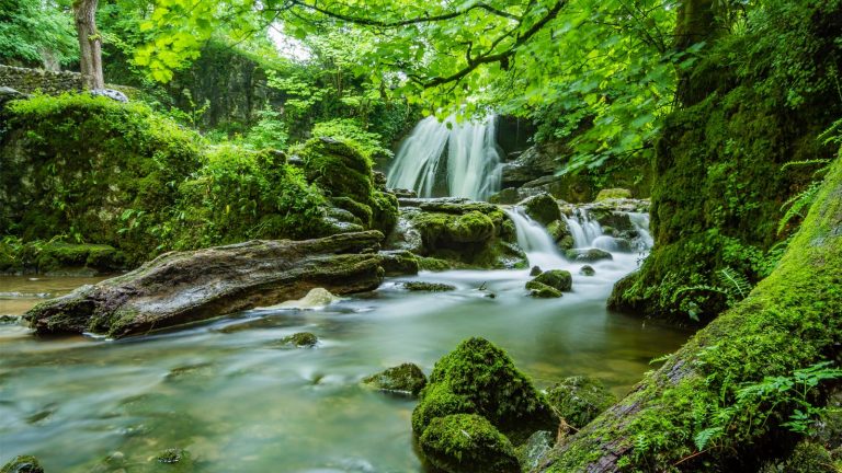 Wald-Fotografie: Langzeitbelichtung Wasserfall per Langzeitbelichtung als fließendes Gewässer darstellen