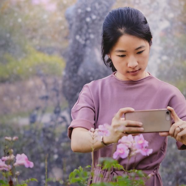 Blumen im Fr&uuml;hling fotografieren: So klappt es mit den Aufnahmen
