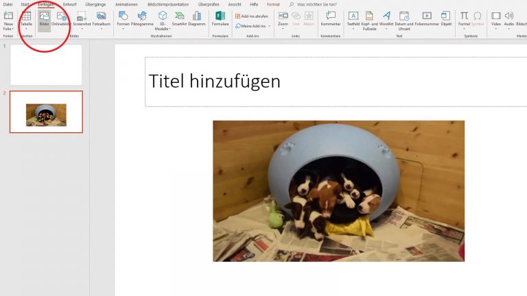 GIF in PowerPoint einfügen: Unter Windows und macOS in wenigen Schritten möglich