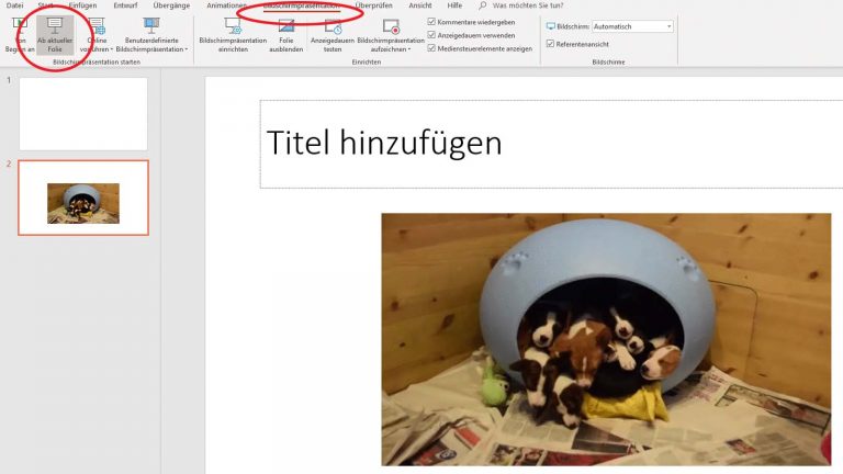 GIF in PowerPoint einfügen: Animation unter Windows und macOS wiedergeben