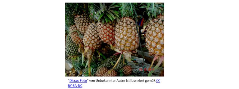Word ClipArt: Bild mit Text