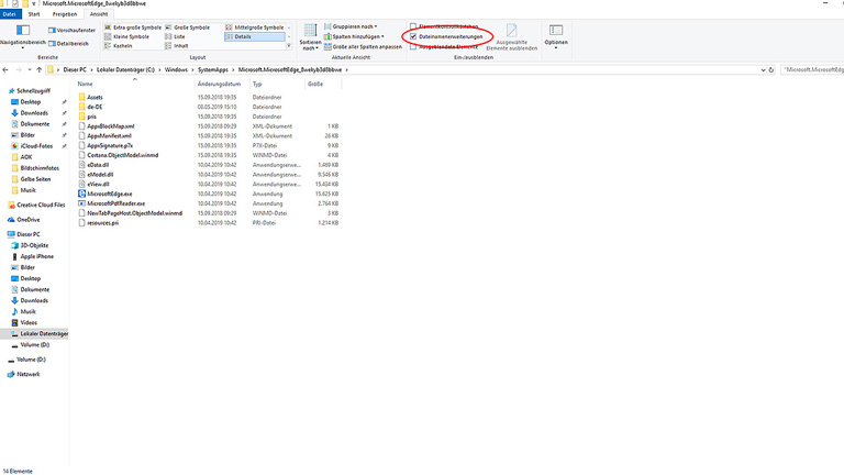 Dateien im Microsoft Explorer umbenennen und Microsoft Edge deaktivieren