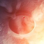 Rauchmelder von Rauchschwaden umgeben