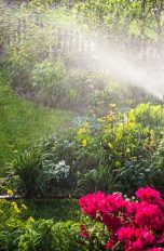 Automatische Bewässerung: Systeme für Garten und Balkon
