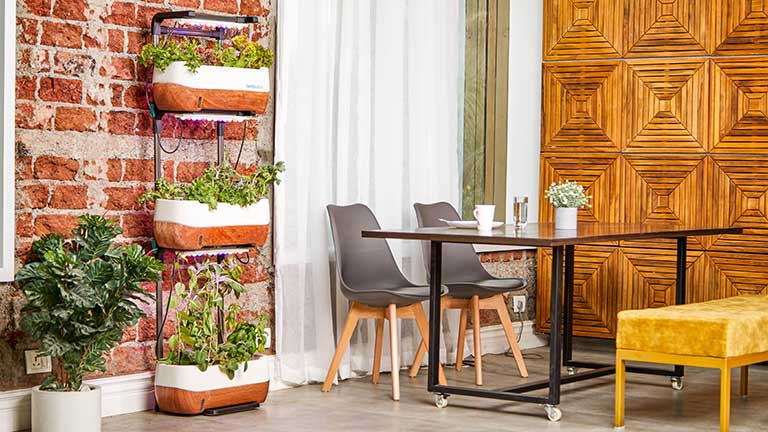 Smart Indoor Garden: Dein intelligenter Garten für die Wohnung Smart Indoor Garden in der Wohnung