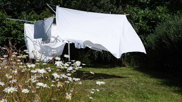 Wäscheleine mit weißer Wäsche im Garten