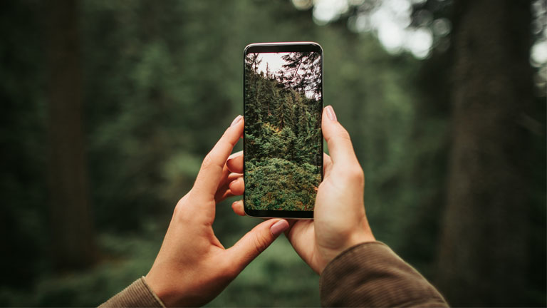 Eine Frau fotografiert Bäume
