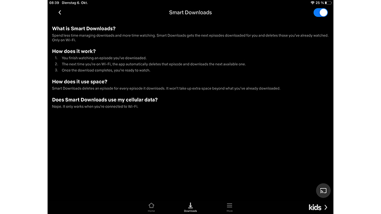 Screenshot des Infofensters zu Smart-Download von Netflix auf dem iPad.