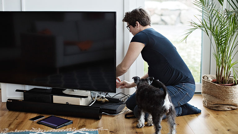 Eine Person schließt Kabel hinter dem Fernseher an. Neben ihr steht ein Hund.