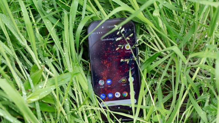 Das Outdoor-Smartphone Cat S42 liegt im nassen Gras.