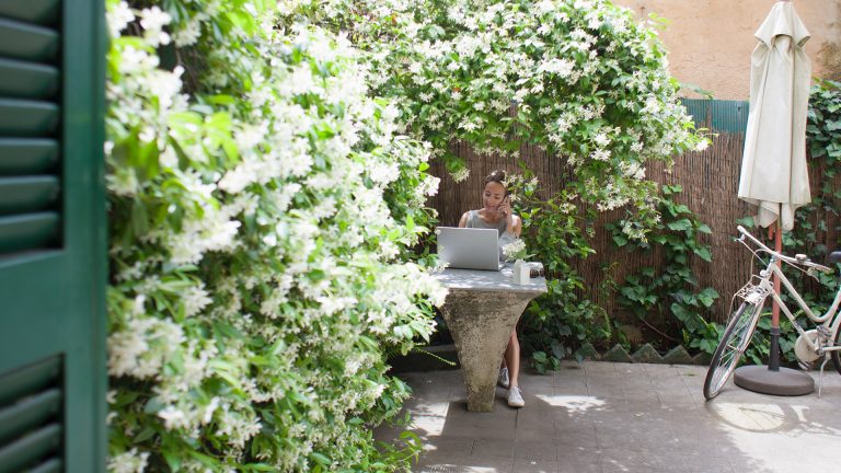 Eine Person sitzt im Schatten eines Baumes auf einer Terrasse. Sie arbeitet gerade an einem Lapop.