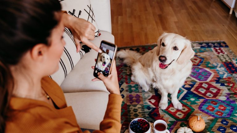 Eine Frau richtet ihr Smartphone auf ihren Hund, der vor ihr auf dem Teppich sitzt. Auf ihrem Smartphone stellt sie das Motiv scharf.
