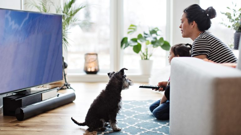 Eine Frau hockt mit einem Kind vor dem Sofa auf dem Boden, vor ihnen steht ein Fernseher mit einer Soundbar.