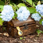 Aus einer in einem Gebüsch versteckten Schatztruhe schaut ein AirTag heraus.