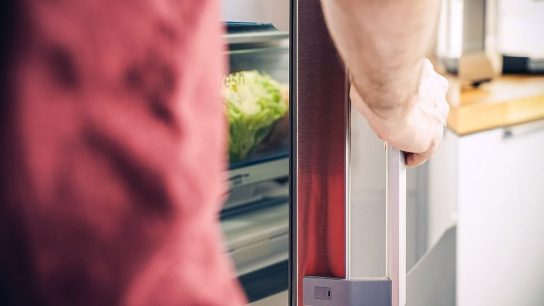 Eine Person öffnet die Kühlschranktür, zu sehen ist der Dichtgummi.