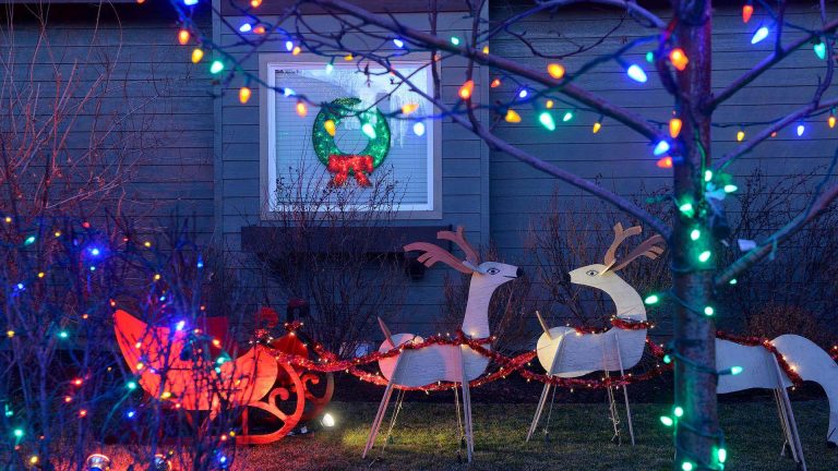 Blick in einen Garten mit beleuchteten Tieren und Lichterketten zu Weihnachten.