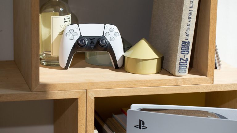 Ein DualSense-Controller lehnt zwischen Deko-Artikeln in einem B&uuml;cherregal.