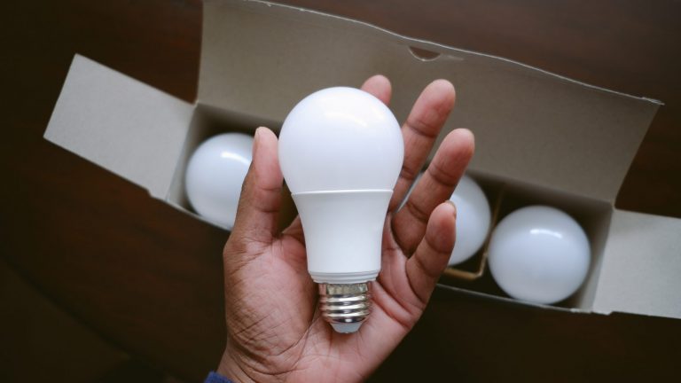 Eine Person hält eine Glühlampe mit LED-Technik in der Hand.