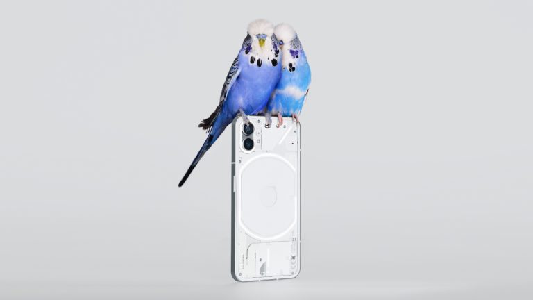 Ein Nothing Phone (1) auf dem zwei blaue Vögel sitzen.