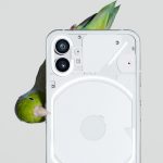 Ein Nothing Phone (1), an dessen Seite ein Vogel nagt.