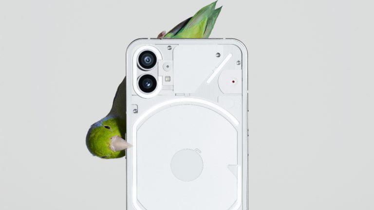 Ein Nothing Phone (1), an dessen Seite ein Vogel nagt.