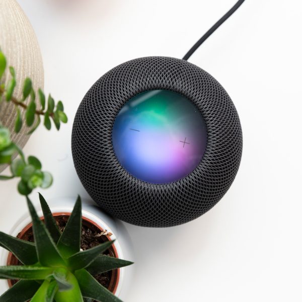 Ein schwarzer Apple HomePod steht neben zwei Pflanzen auf einem wei&szlig;en Tisch.