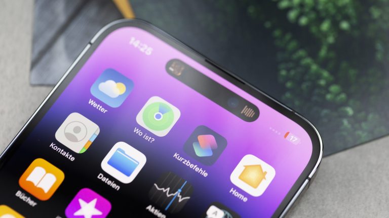 Detailansicht einer Dynamic Island, die gerade etwas anzeigt.