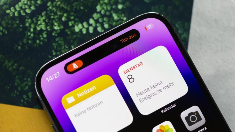Detailansicht der Ton-Aus-Einstellung bei einer Dynamic Island.