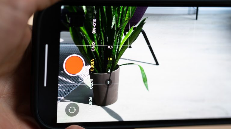 Eine Person hält ein iPhone 14 Pro in der Hand. Die geöffnete Kamera-App zeigt eine Zimmerpflanze.