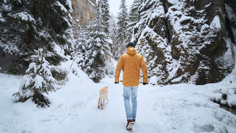 Eine Person in orangefarbener Daunenjacke spaziert mit einem Hund durch eine verschneite Landschaft.