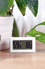 Blick auf ein Hygrometer, das zwischen Pflanzen auf einer Holzoberfl&auml;che steht.