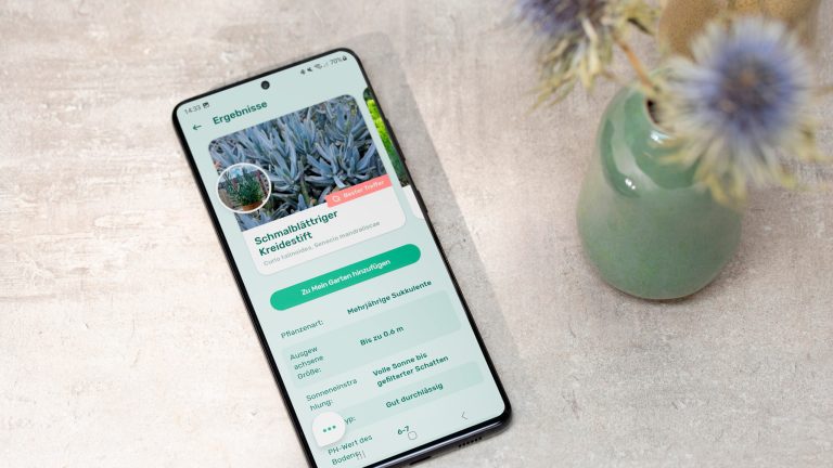 Screenshot der App Blossom mit Fotos und Informationen zur abfotografierten Pflanze.