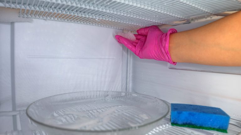 Eine Person f&auml;ngt in einem Gefrierfach abgetautes Wasser mit K&uuml;chenpapier auf.