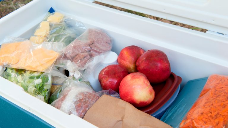 Lebensmittel lagern in einer blauen Kühlbox.