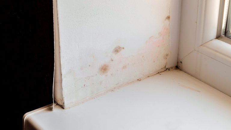 Die Tapete an einer Fensterbank zeigt braune Flecken.