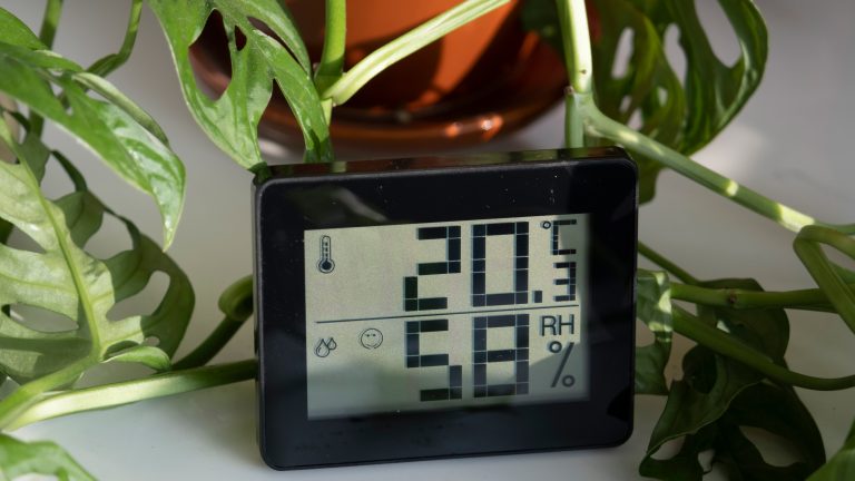 Ein Hygrometer steht, umringt von Pflanzen, auf einem Tisch.