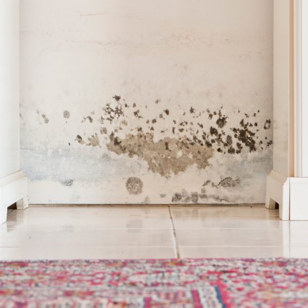 Vor einer verschimmelten Wand stehen zwei wei&szlig;e Schr&auml;nke.