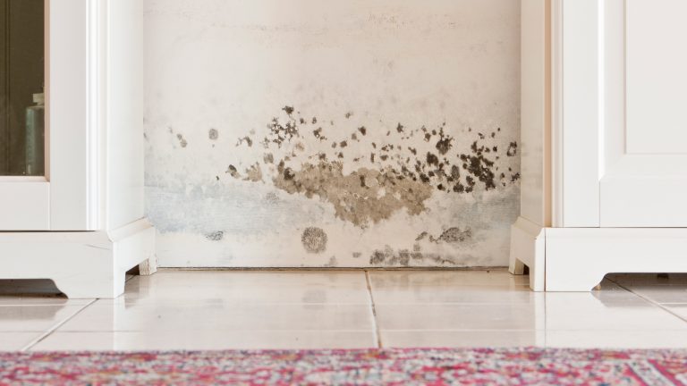 Vor einer verschimmelten Wand stehen zwei wei&szlig;e Schr&auml;nke.