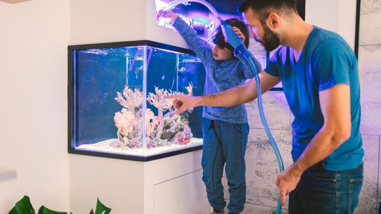 Ein Kind steht auf einem Tritt und hält einen Schlauch in ein Aquarium. Eine Person zeigt mit dem rechten Finger auf die Scheibe.