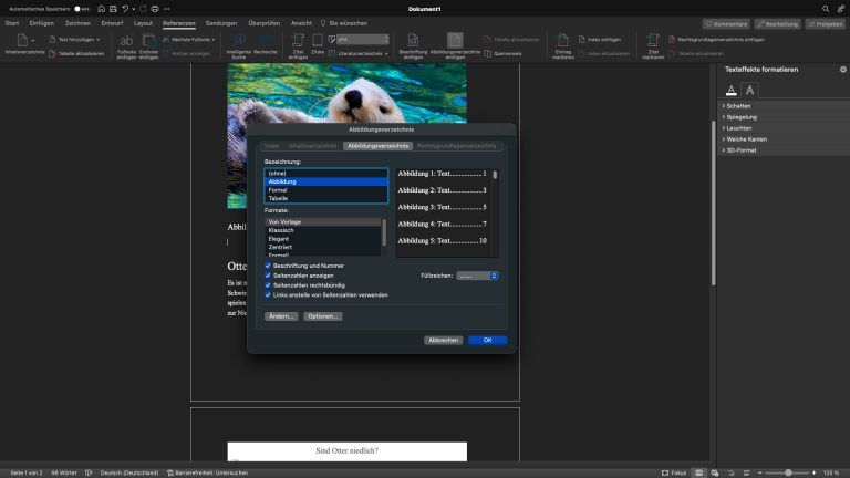 Screenshot vom Erstellen eines Abbildungsverzeichnisses in Word.
