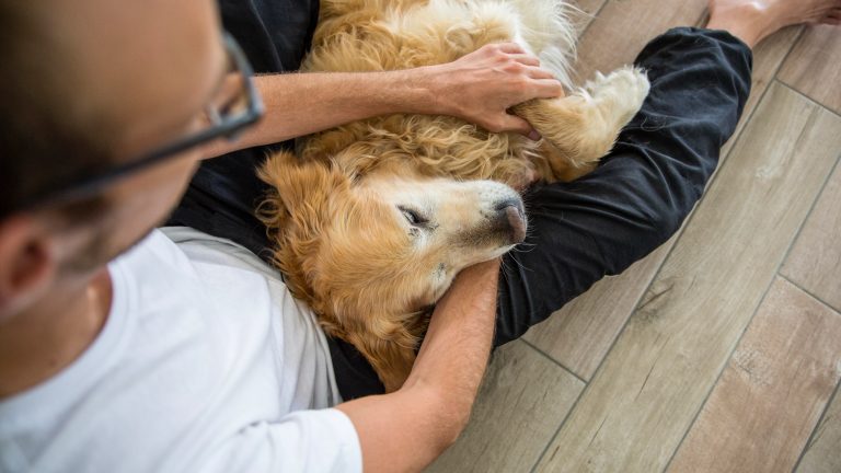 Eine Person sitzt mit einem Hund auf dem Scho&szlig; auf dem Boden.