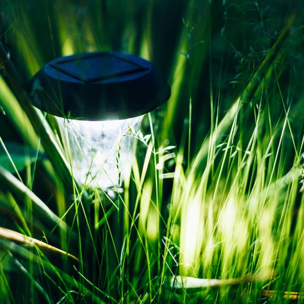 Eine Solarlampe steht inmitten von hohem Graß in einem Garten und leuchtet.