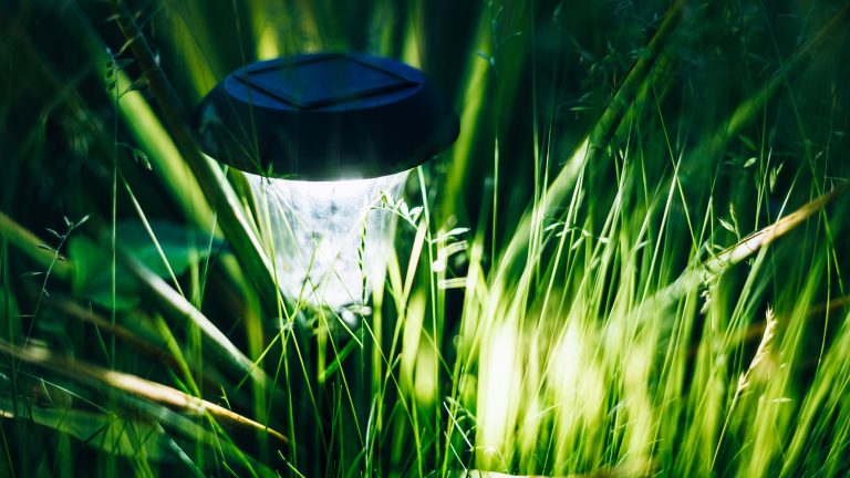 Eine Solarlampe steht inmitten von hohem Graß in einem Garten und leuchtet.