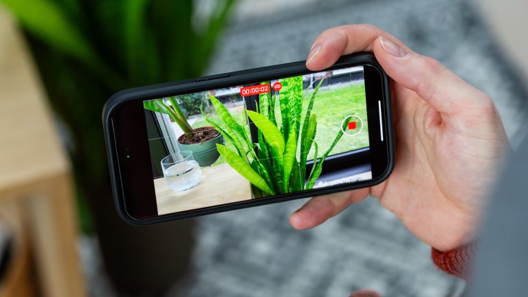 Ein iPhone 15 Pro filmt ein 3D-Video einer Zimmerpflanze.