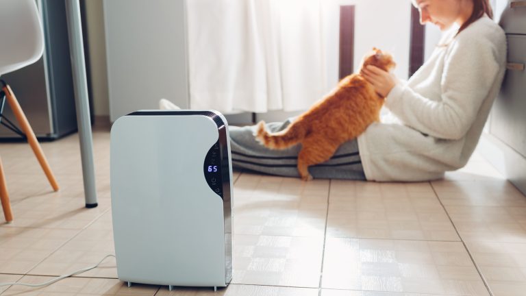 Ein Luftentfeuchter steht in der K&uuml;che. Im Hintergrund sitzt eine Person auf dem Boden und schmust mit einer Katze.